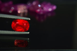 Garnet and the Month of January