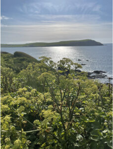 Why we feel so amazing by the sea!