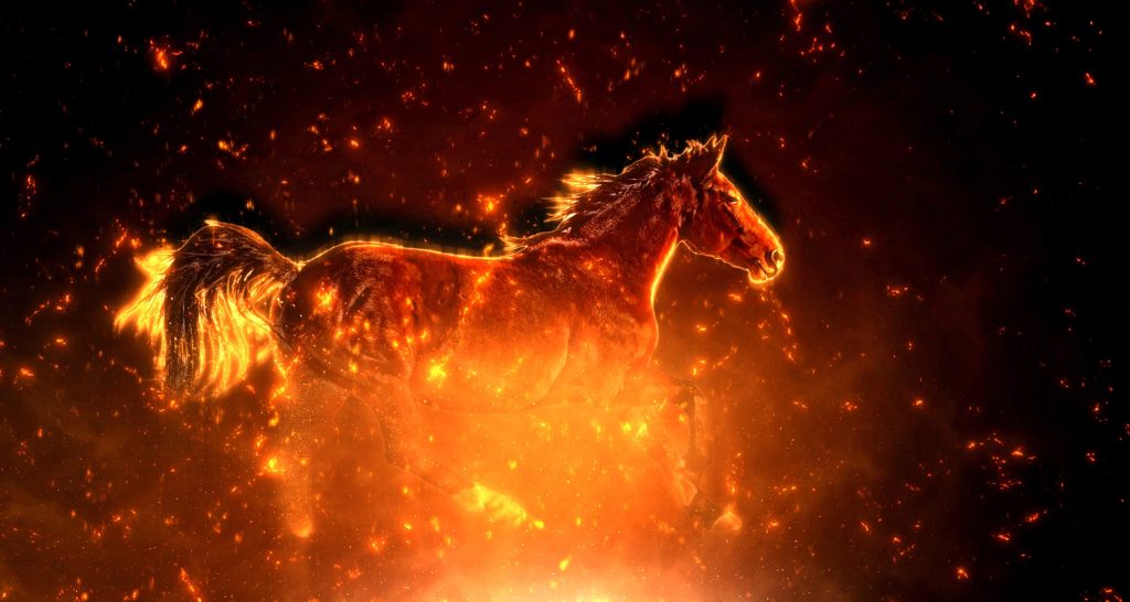 The Fire Horse