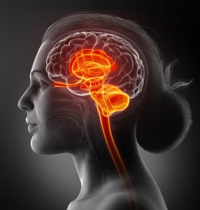 Why the Vagus Nerve May Be the Missing Piece in Your Wellbeing