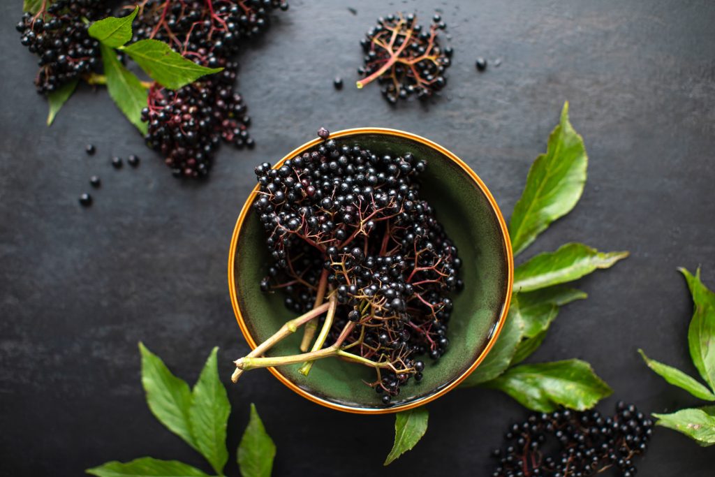 https://www.bloomfieldbotanicals.co.uk/